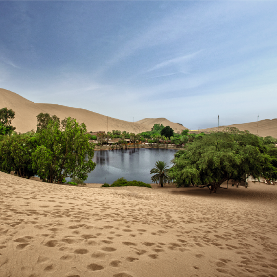 Sandboarding Huacachina